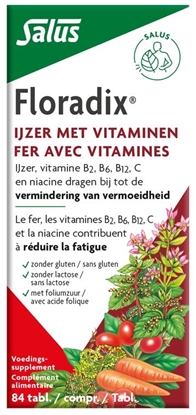 SALUS FLORADIX IJZER TABLETTEN 84ST